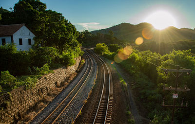 Railroad tracks amidst plants against sky