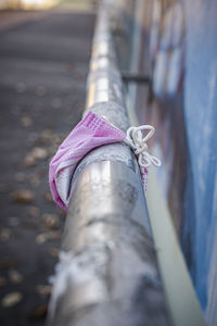 Close-up of an insect on metal