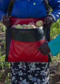 Close-up of man working on field