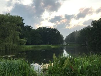 Scenic view of lake by trees against sky