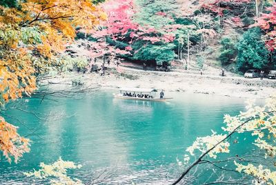 Scenic view of trees during autumn