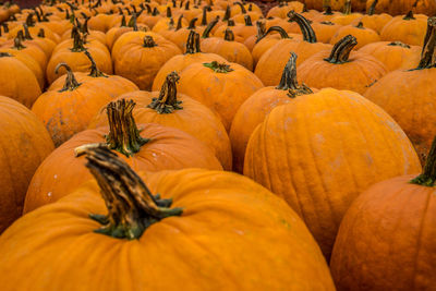 Full frame shot of pumpkins at market