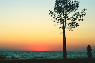 Scenic view of sea at sunset