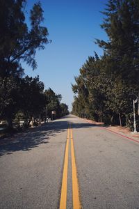 Surface level of empty road against trees in city