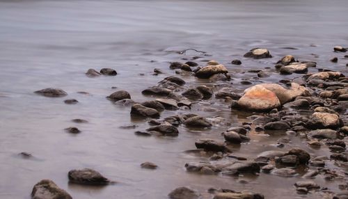 Close-up of pebbles on beach