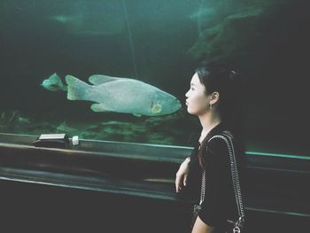 Side view of man looking at fish tank in aquarium