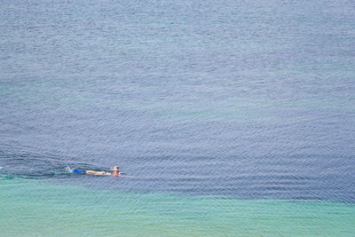 High angle view of swimming in sea. swimmer in the sea