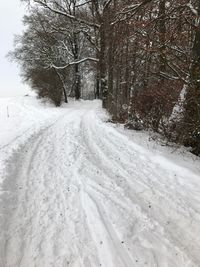 Tire tracks on snow covered road