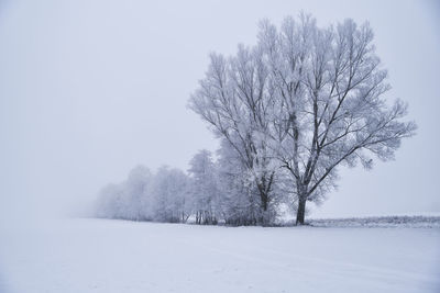 Bare tree on snow covered field against sky