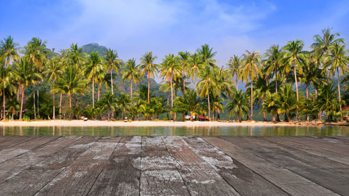Wooden floor with sea of a island and coconut tree nature landscape background