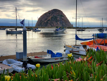 Sailboats moored in sea against sky