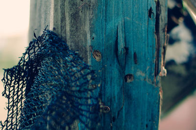 Close-up of blue wooden fence