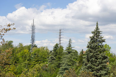 Low angle view of trees against sky