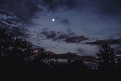 Low angle view of silhouette trees against sky at night