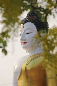 Close-up of buddha statue against trees