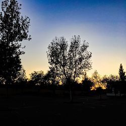 Silhouette trees on landscape against clear sky