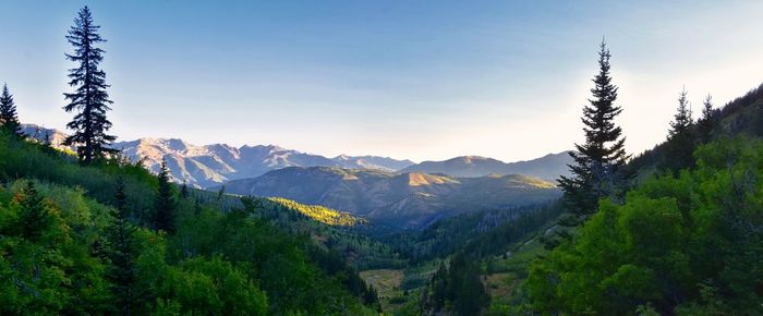 Timpanogos hiking trail landscape views in uinta wasatch cache national forest utah