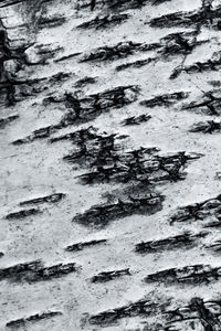 Full frame shot of weathered wall