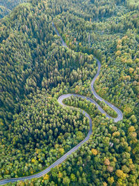 High angle view of road