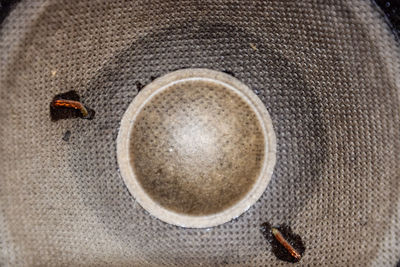 High angle view of insect on coffee