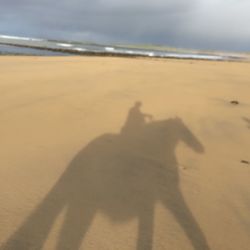 Shadow of hand on sand at beach against sky