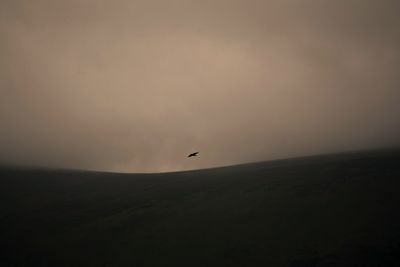 Silhouette of bird flying over land against sky