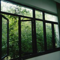 Close-up of window in forest