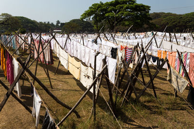 Clothes drying on field against sky