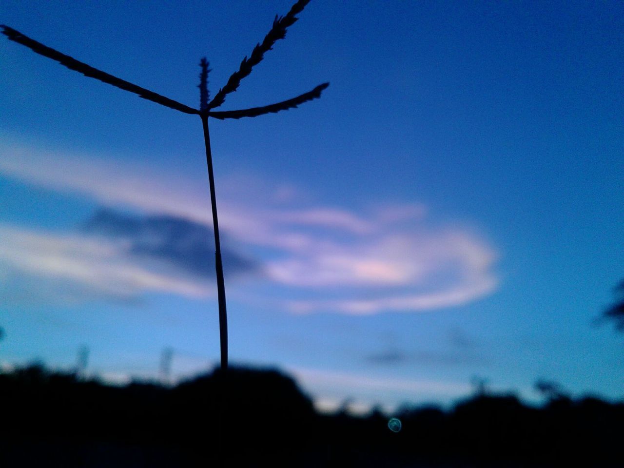 sky, nature, silhouette, no people, blue, beauty in nature, outdoors, sunset, scenics, day, close-up