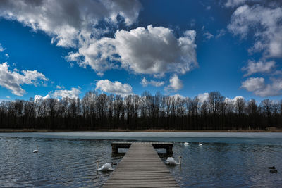 Swan on lake against blue sky