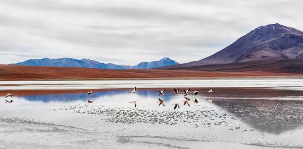 Scenic landscape in bolivia