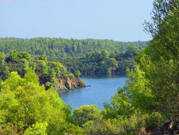 Scenic view of lake amidst trees against sky