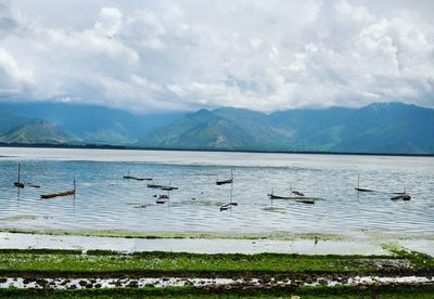 Birds perching on lake by mountains against sky