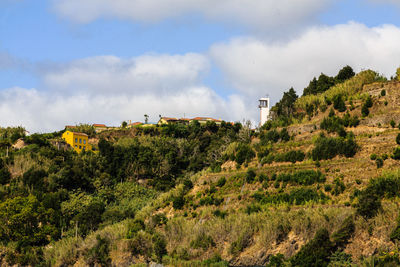 Panoramic view of trees and buildings against sky