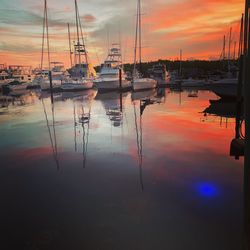 Sailboats in marina at sunset
