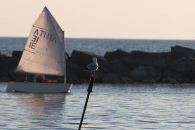 Close-up of information sign in sea against clear sky