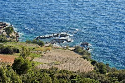 High angle view of sea and trees