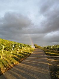 Road amidst field against sky