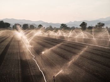 Scenic view of agricultural field against sky