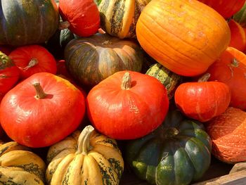 High angle view of pumpkins in market