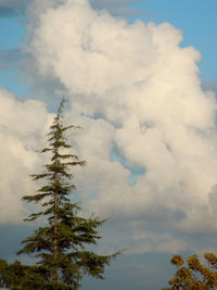 sky