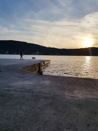 View of dog at beach during sunset