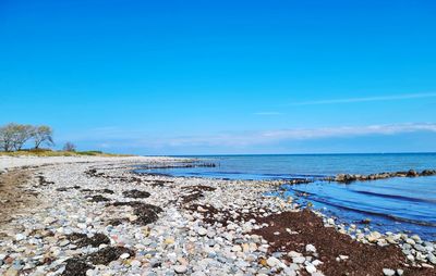 Scenic view of beach against blue sky