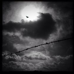 Low angle view of birds flying over cloudy sky