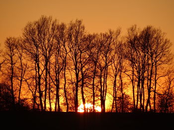 Silhouette bare trees in forest against orange sky