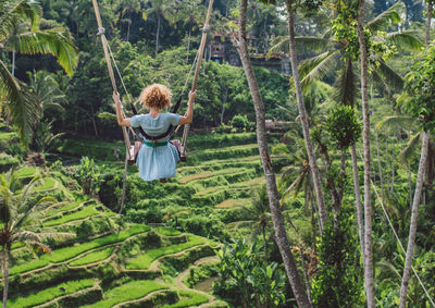 Rear view of woman on swing in forest