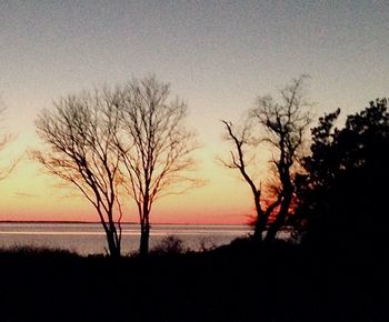 Silhouette bare trees against sky during sunset