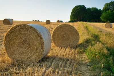 Hay bales on field against sky