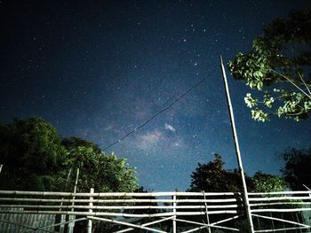 Low angle view of trees against sky at night