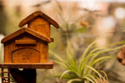 Close-up of birdhouse on field against building